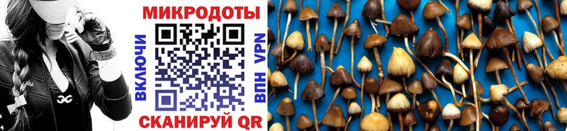 купить наркотик  Адыгейск  Псилоцибиновые грибы мицелий 